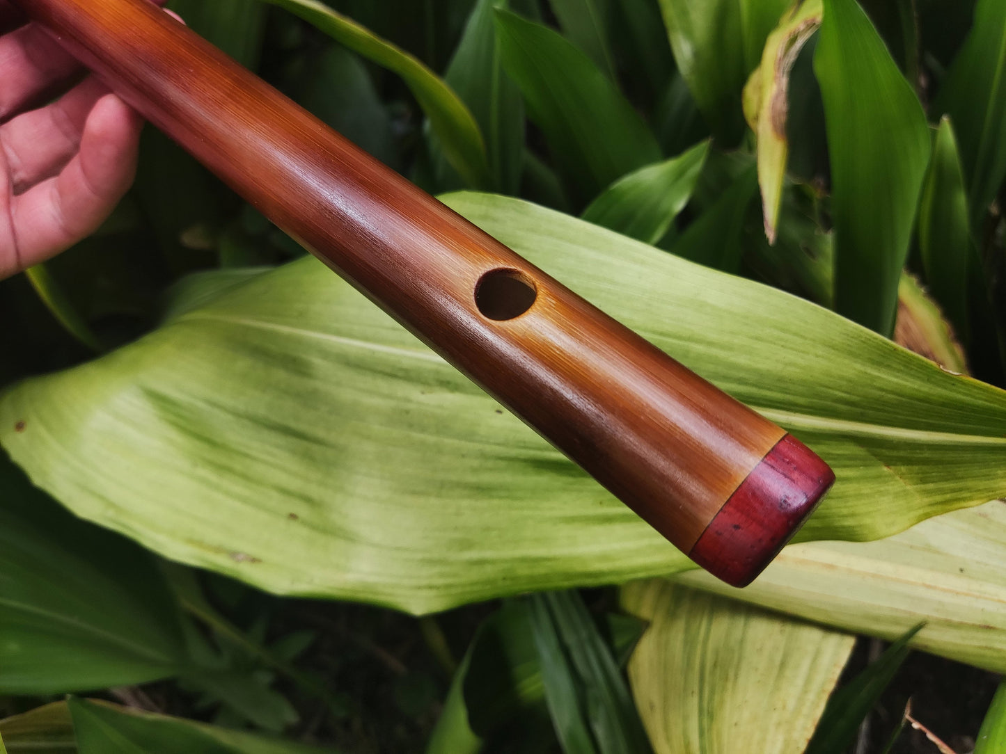 A Minor harmonic Bamboo Flute |  Rustic handmade Transverse flute. Ethnic flute in A harmonic minor | Intuitive | Rui Gomes
