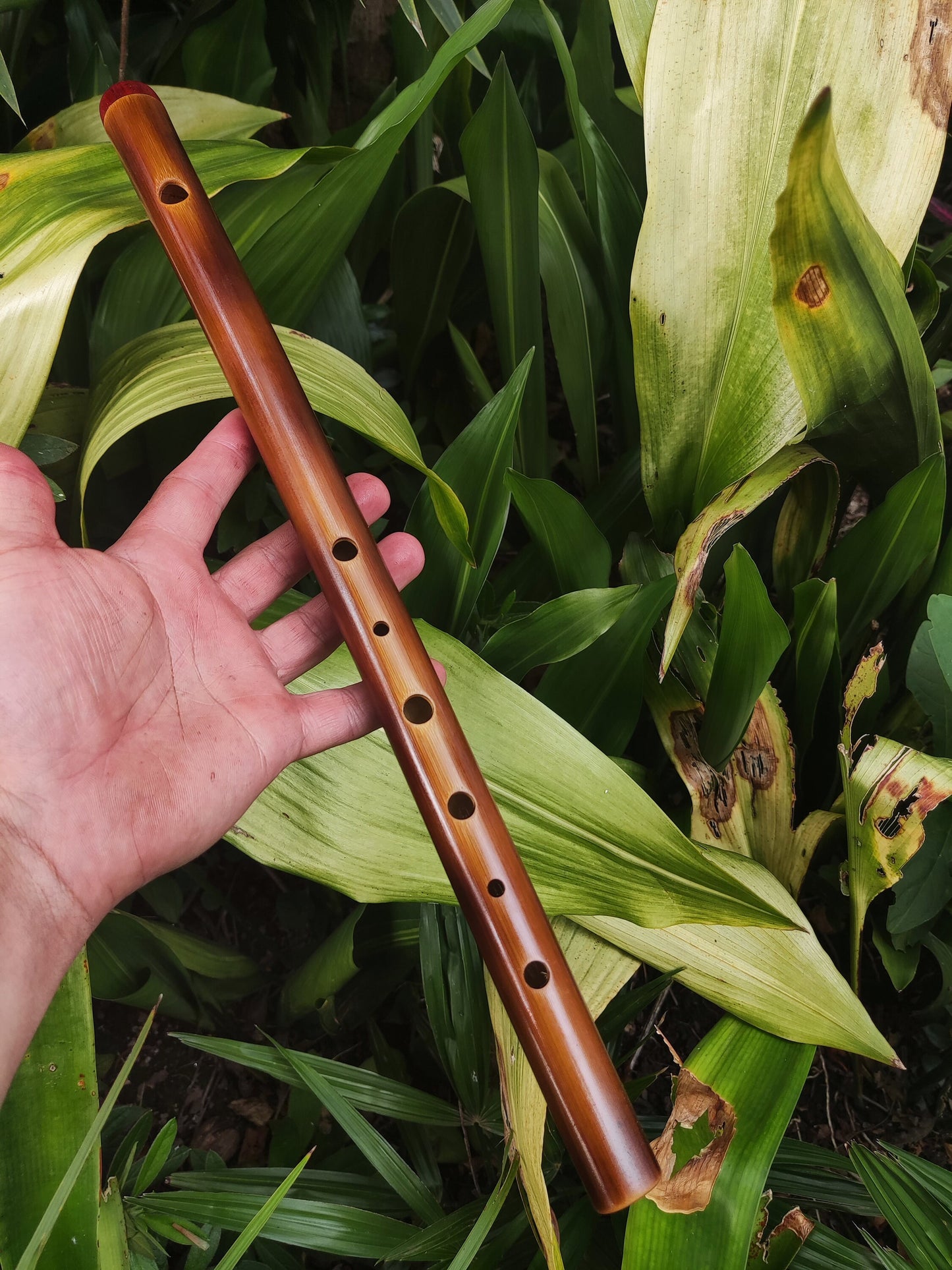 A Minor harmonic Bamboo Flute |  Rustic handmade Transverse flute. Ethnic flute in A harmonic minor | Intuitive | Rui Gomes