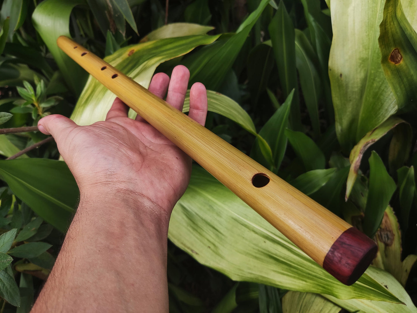Exotic Meditative Major Pentatonic Bamboo Flute in the key of F. Oriental Zen Buddhist flute. Deep meditation flute. Exotic scale.