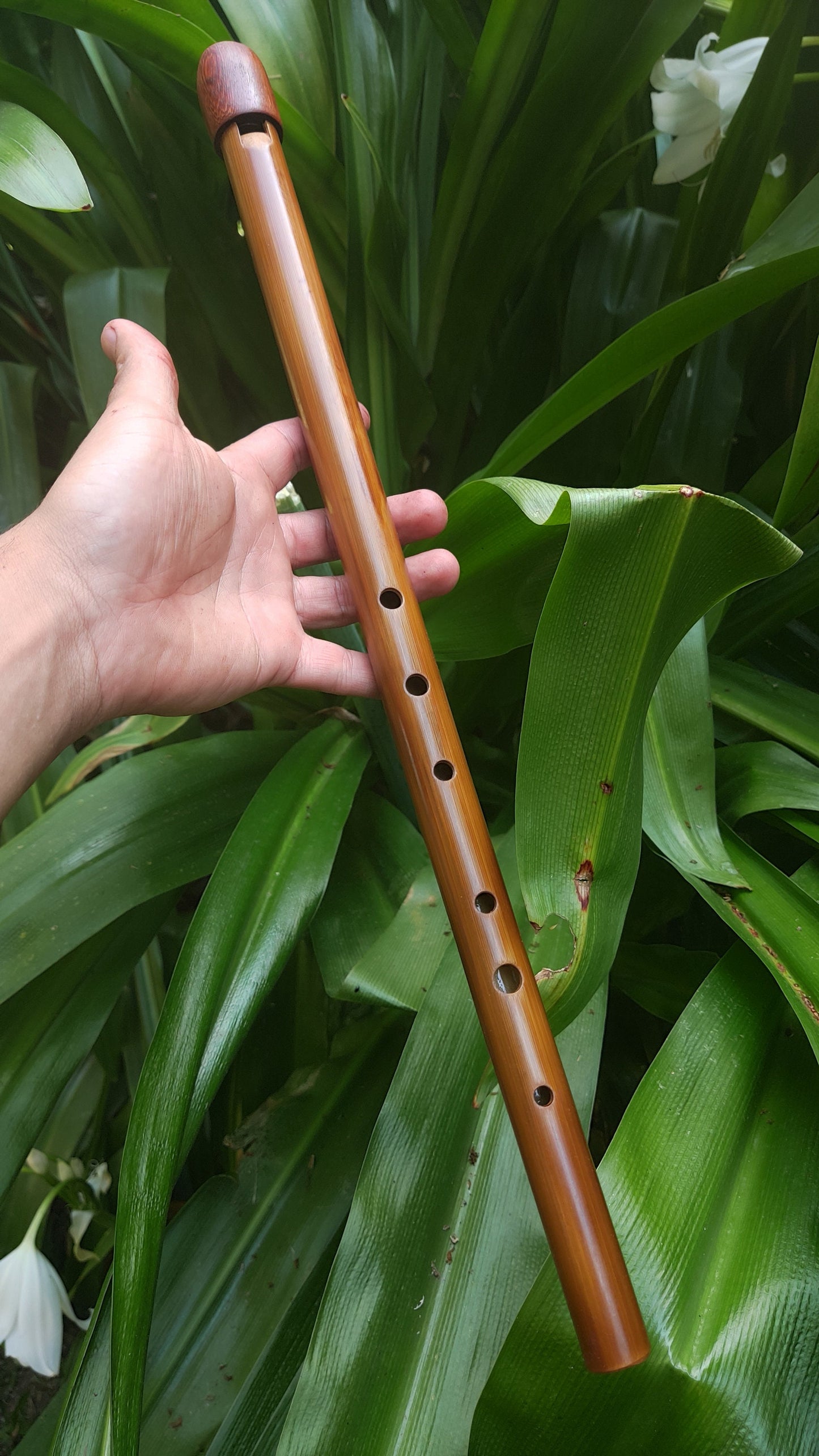 Low F Whistle,Irish Flute in F, Handmade Irish Whistle. Low F bamboo flute, Penny Whistle, Wooden flute Unique flute