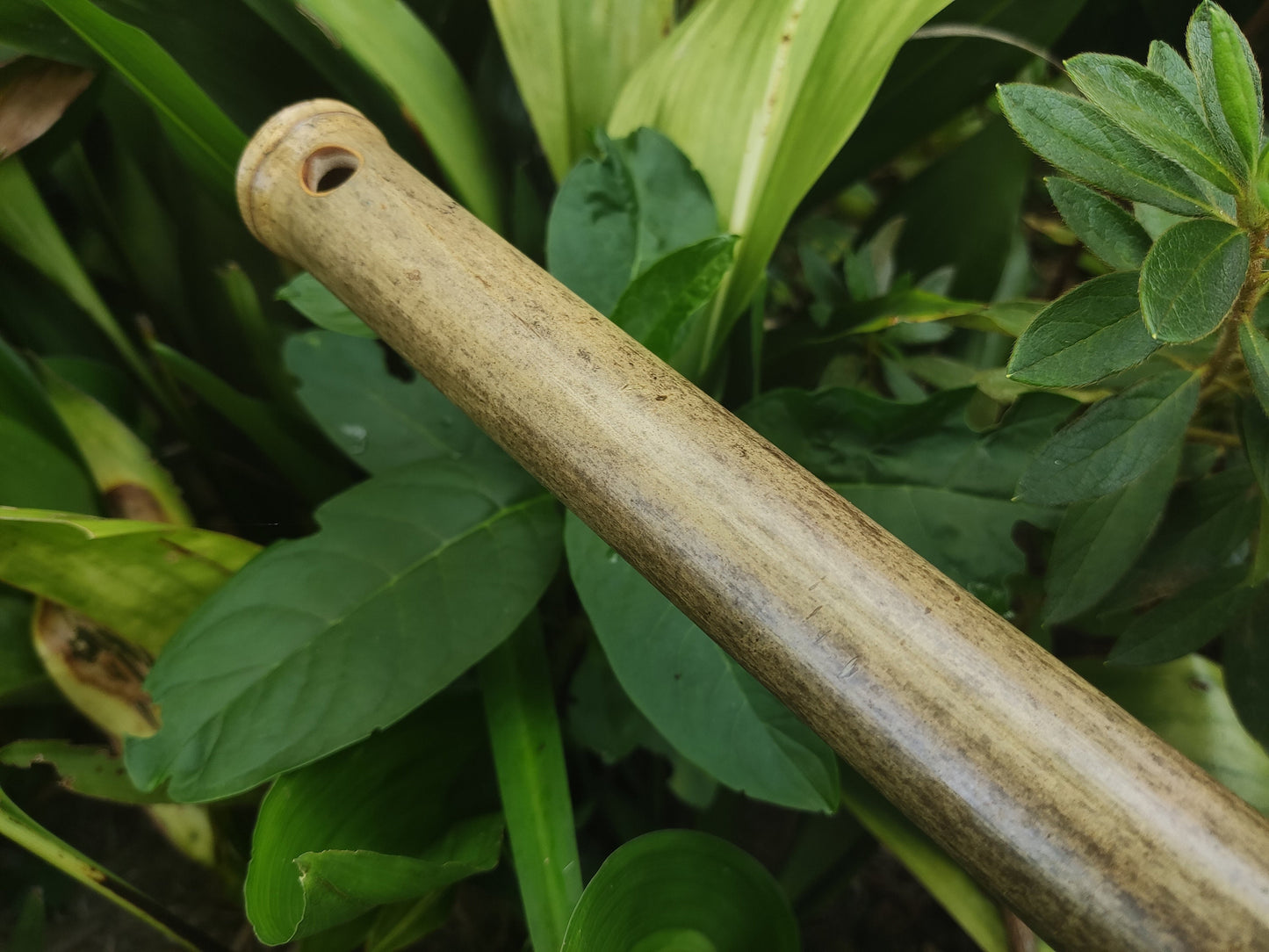 Low Eb Major Flute. Irish low E Flat flute. Bamboo Transverse flute. Concert tuned. A = 440 Hz. Bansuri