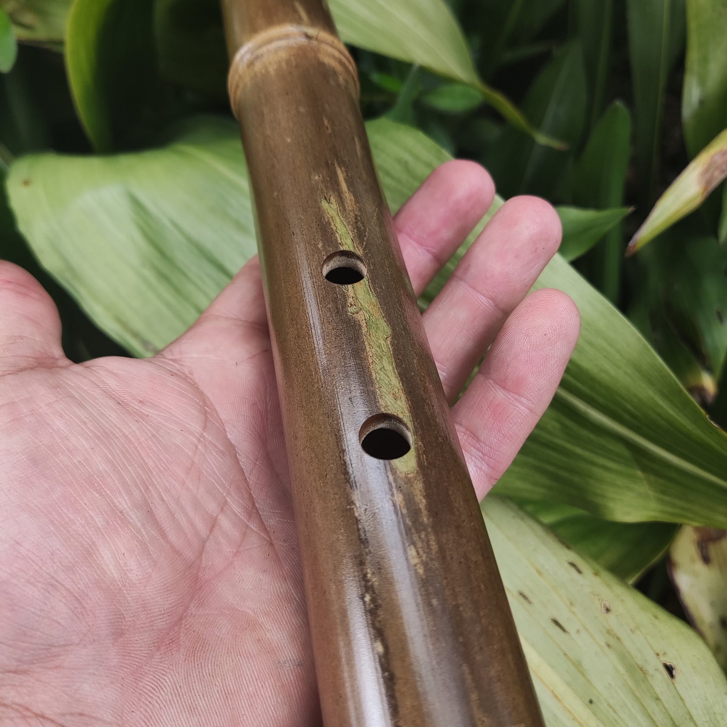 Akebono Bamboo Flute in the key of low G# | Deep Meditative Flute with a Rustic oriental design. Asian Scale with a transporting voice