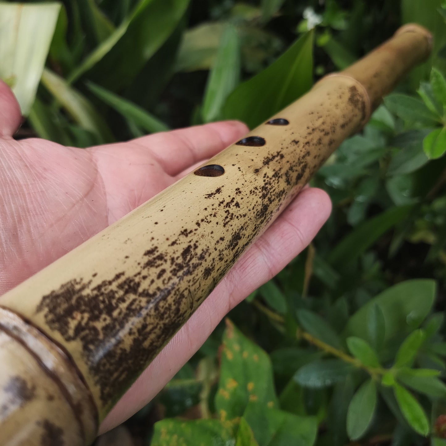 Exotic Meditative Kokin Akebono Bamboo Flute in the key of low C. Oriental Flute with a Japanese scale and a Transporting voice | Rui Gomes