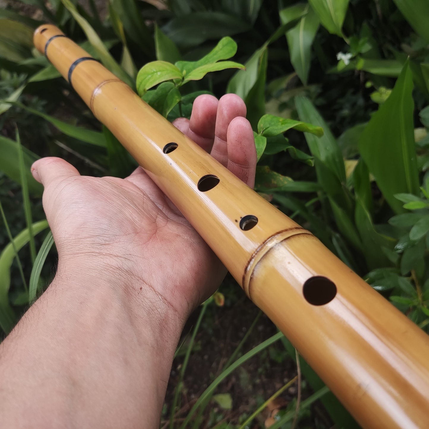 Egyptian Flute in A#. Handmade bamboo flute with an exotic scale, Egyptian sounding for Meditation and Sound healing tool