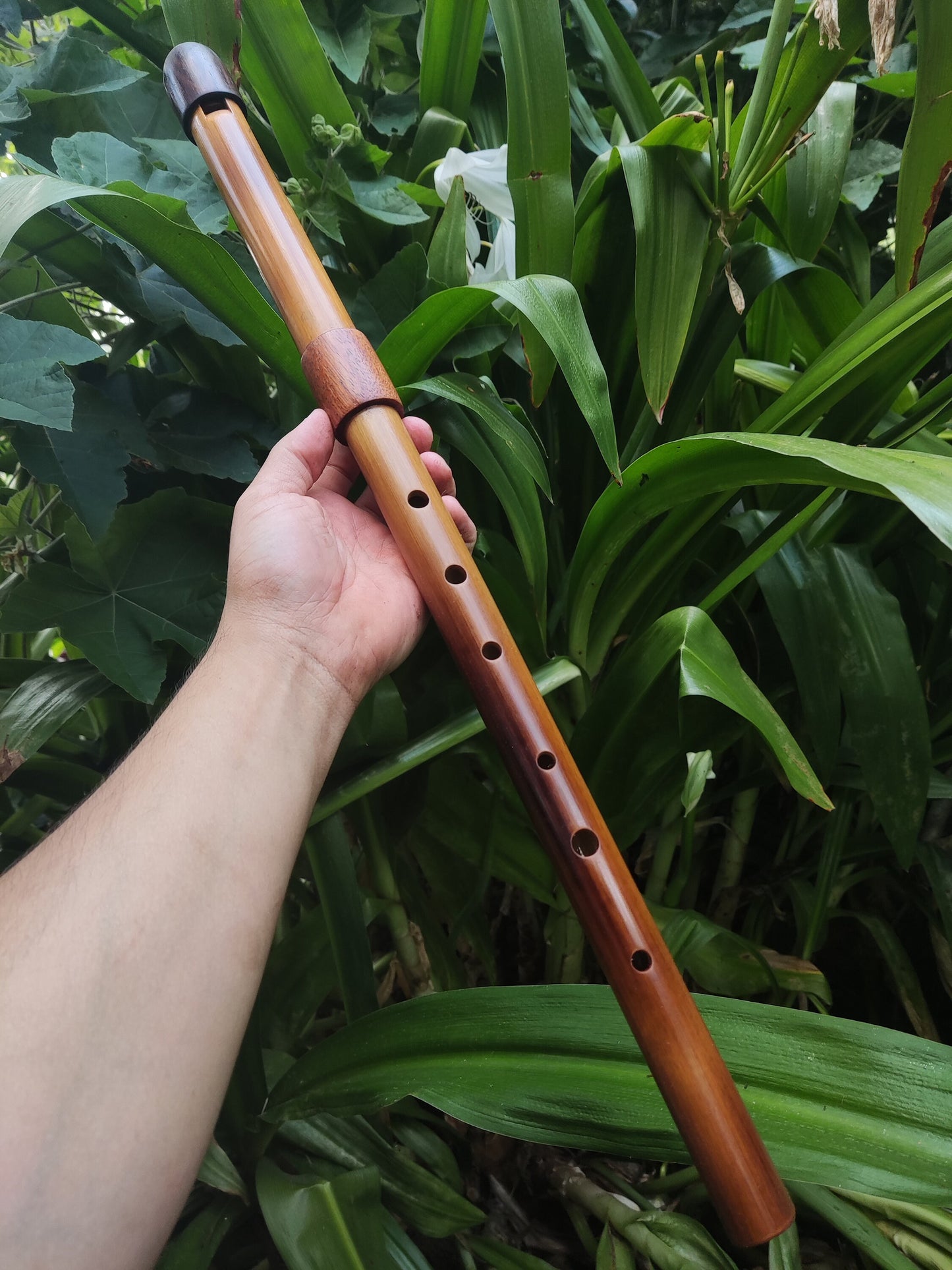 Low D Whistle, handmade out of Bamboo for Irish, Celtic and World Music. Unique wooden flute for folk and meditation, handmade by Rui Gomes