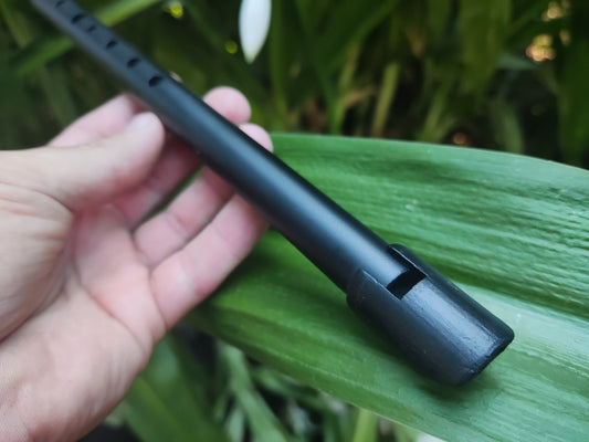 Penny Whistle in D by Rui Gomes | Tin Whistle made with PVC and Resin | Irish-style Fipple Flute for Folk and World Music | Quality plastic