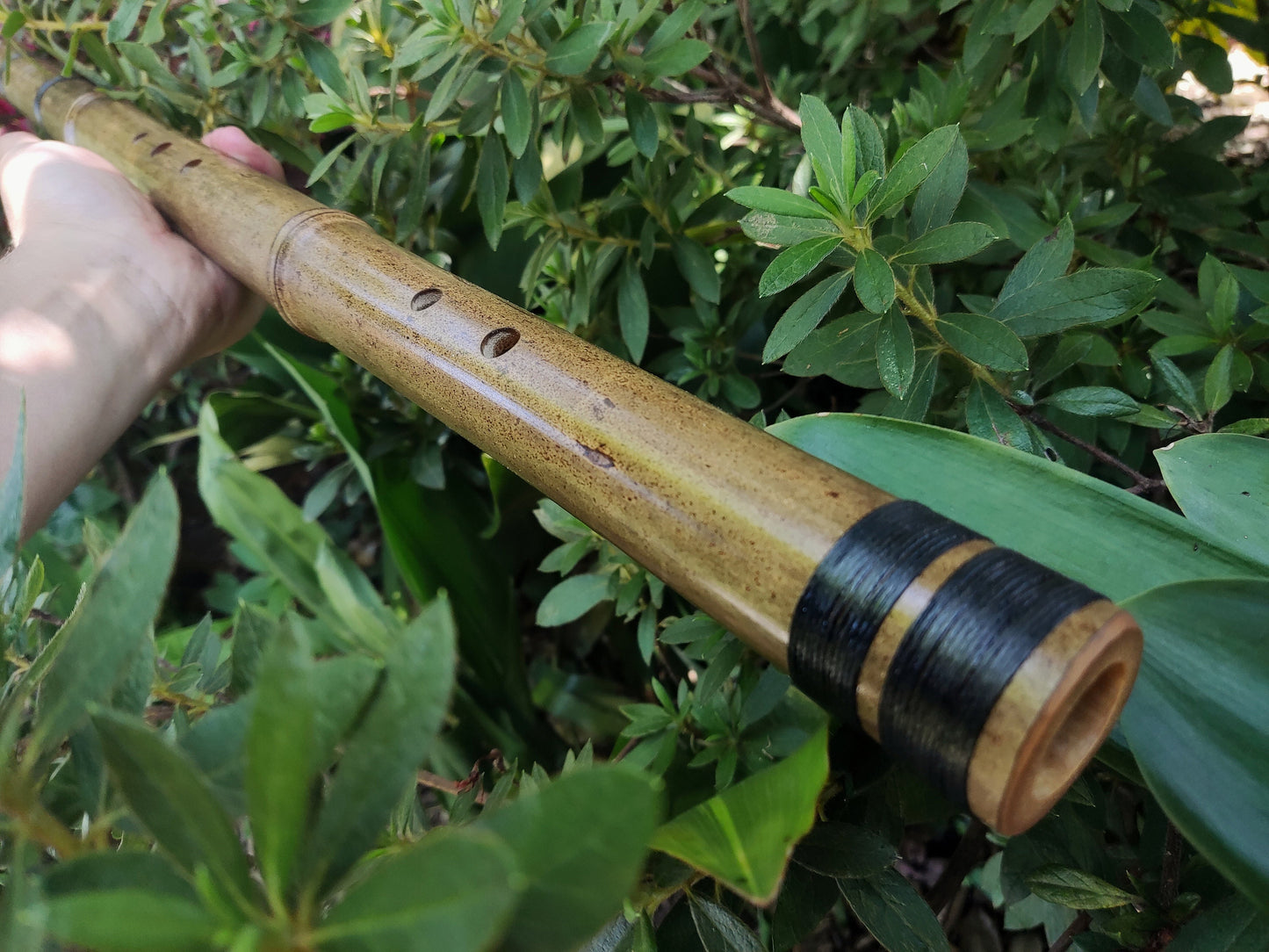 Deep Exotic Meditative Kokin Akebono Bamboo Flute in the key of low G#3. Rustic oriental flute. Ethnic asian flute. Deep transporting voice