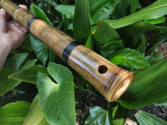 Deep Exotic Meditative Kokin Akebono Bamboo Flute in the key of low G#3. Rustic oriental flute. Ethnic asian flute. Deep transporting voice