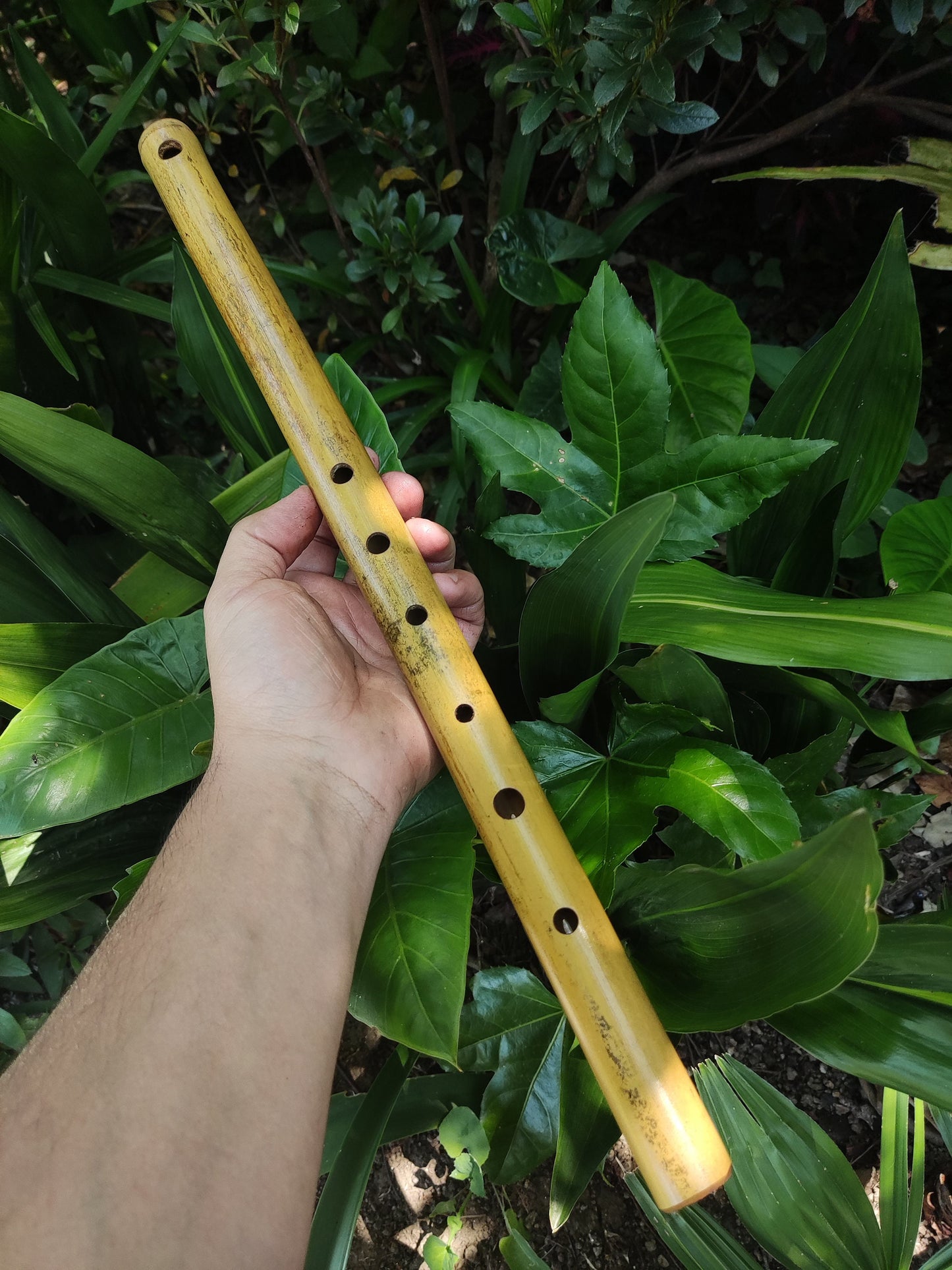 Simple F Major Bamboo Flute. Transverse flute tuned to the key of F major, Concert tuned at A = 440 Hz | Bansuri alternative | Rui Gomes