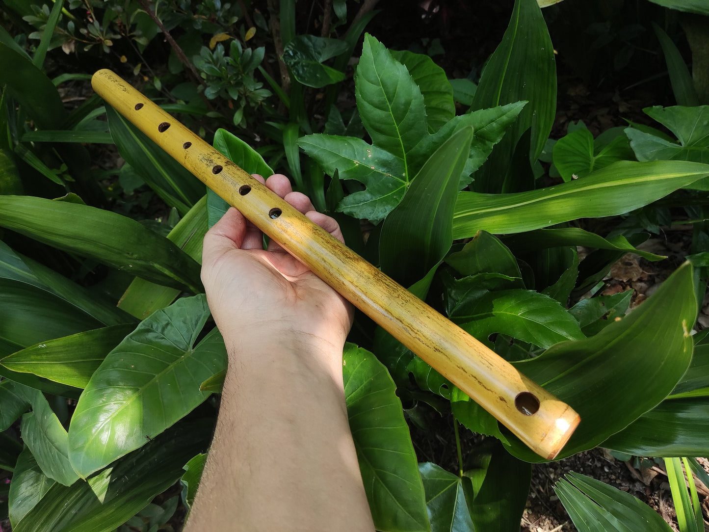 Simple F Major Bamboo Flute. Transverse flute tuned to the key of F major, Concert tuned at A = 440 Hz | Bansuri alternative | Rui Gomes