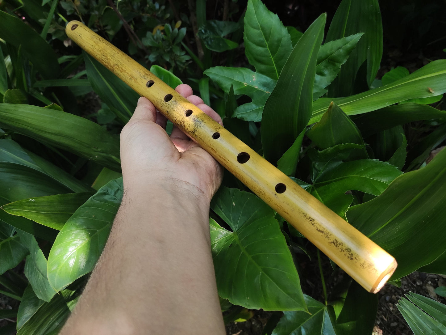 Simple F Major Bamboo Flute. Transverse flute tuned to the key of F major, Concert tuned at A = 440 Hz | Bansuri alternative | Rui Gomes
