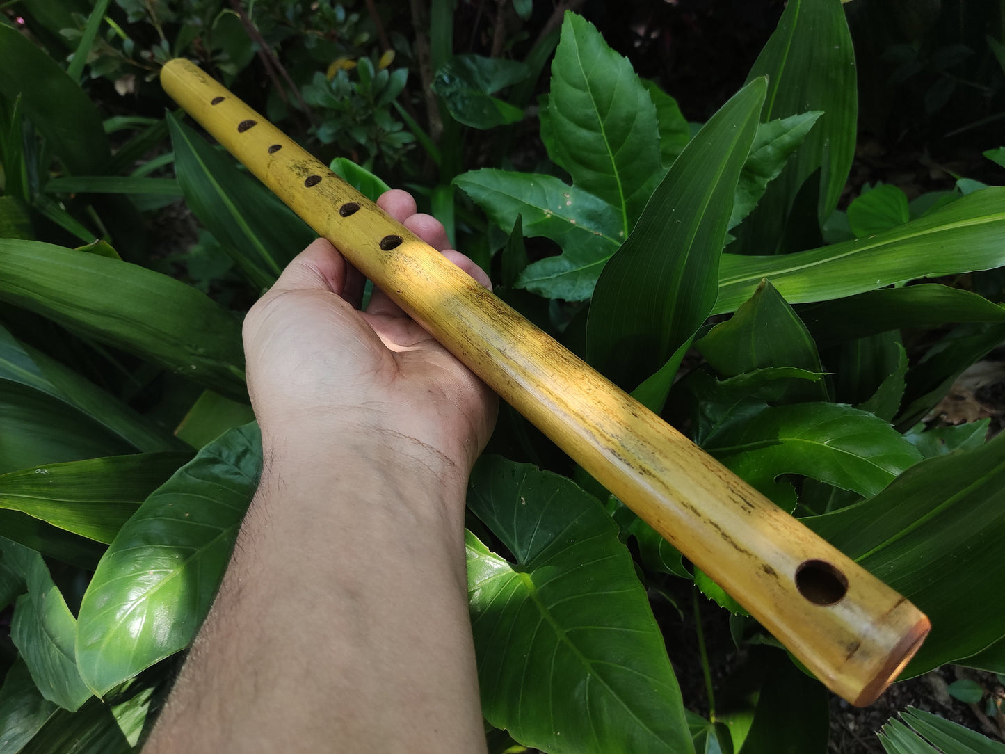 Simple F Major Bamboo Flute. Transverse flute tuned to the key of F major, Concert tuned at A = 440 Hz | Bansuri alternative | Rui Gomes