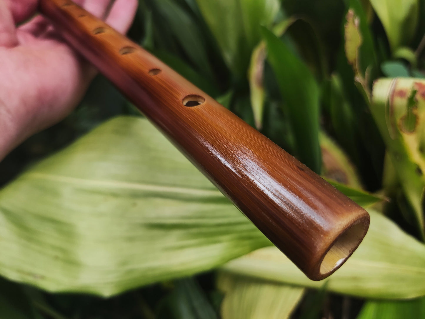A Minor harmonic Bamboo Flute |  Rustic handmade Transverse flute. Ethnic flute in A harmonic minor | Intuitive | Rui Gomes