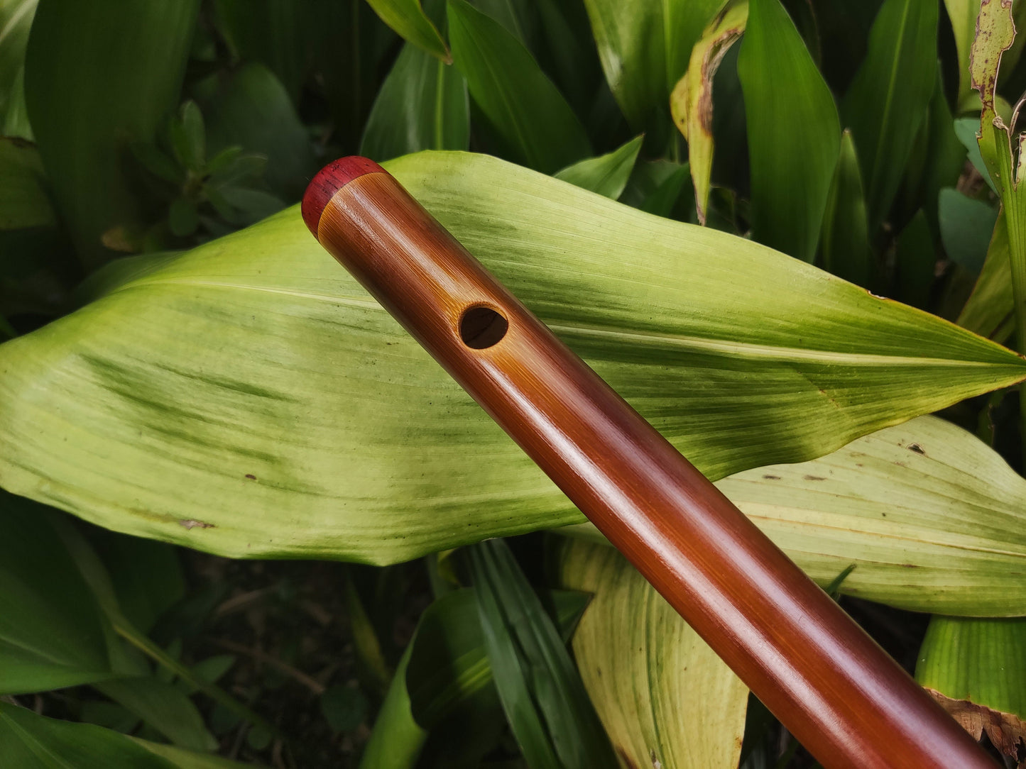 A Minor harmonic Bamboo Flute |  Rustic handmade Transverse flute. Ethnic flute in A harmonic minor | Intuitive | Rui Gomes