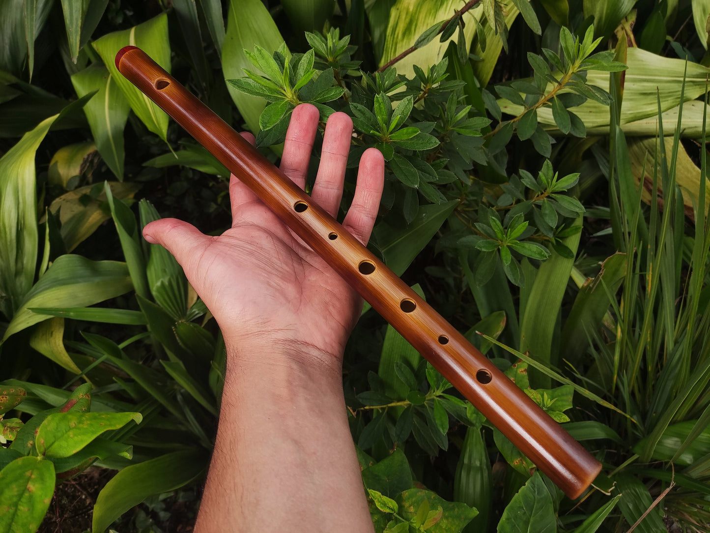A Minor harmonic Bamboo Flute |  Rustic handmade Transverse flute. Ethnic flute in A harmonic minor | Intuitive | Rui Gomes