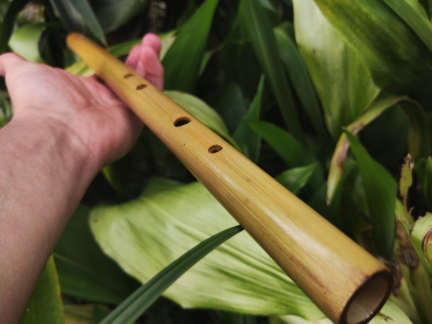 Exotic Meditative Major Pentatonic Bamboo Flute in the key of F. Oriental Zen Buddhist flute. Deep meditation flute. Exotic scale.
