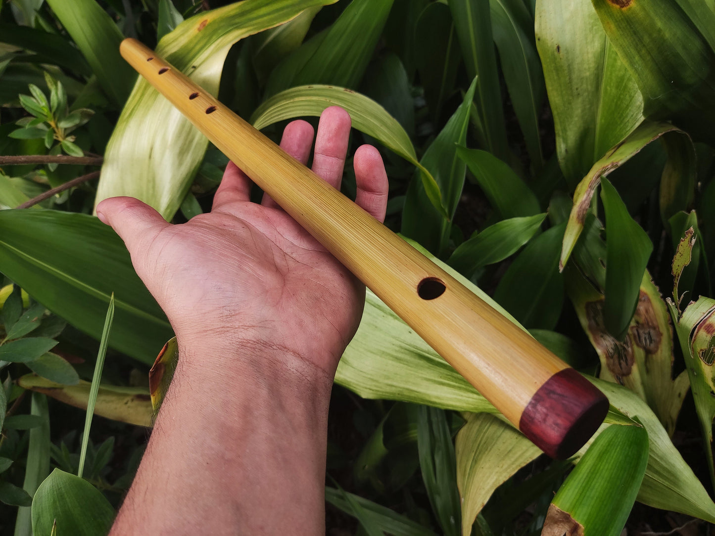 Exotic Meditative Major Pentatonic Bamboo Flute in the key of F. Oriental Zen Buddhist flute. Deep meditation flute. Exotic scale.