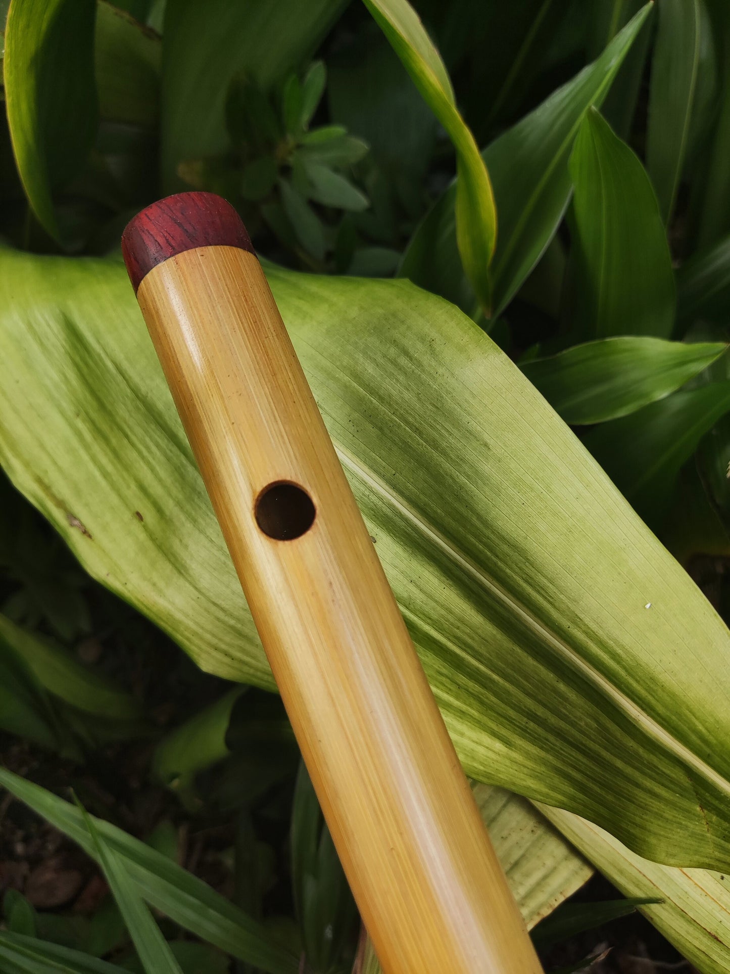 Exotic Meditative Major Pentatonic Bamboo Flute in the key of F. Oriental Zen Buddhist flute. Deep meditation flute. Exotic scale.