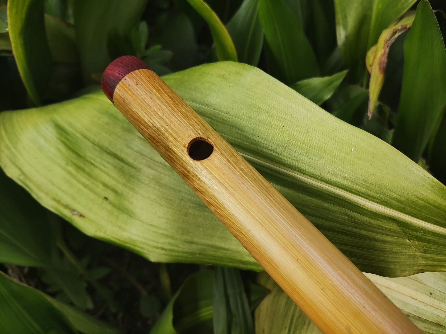 Exotic Meditative Major Pentatonic Bamboo Flute in the key of F. Oriental Zen Buddhist flute. Deep meditation flute. Exotic scale.