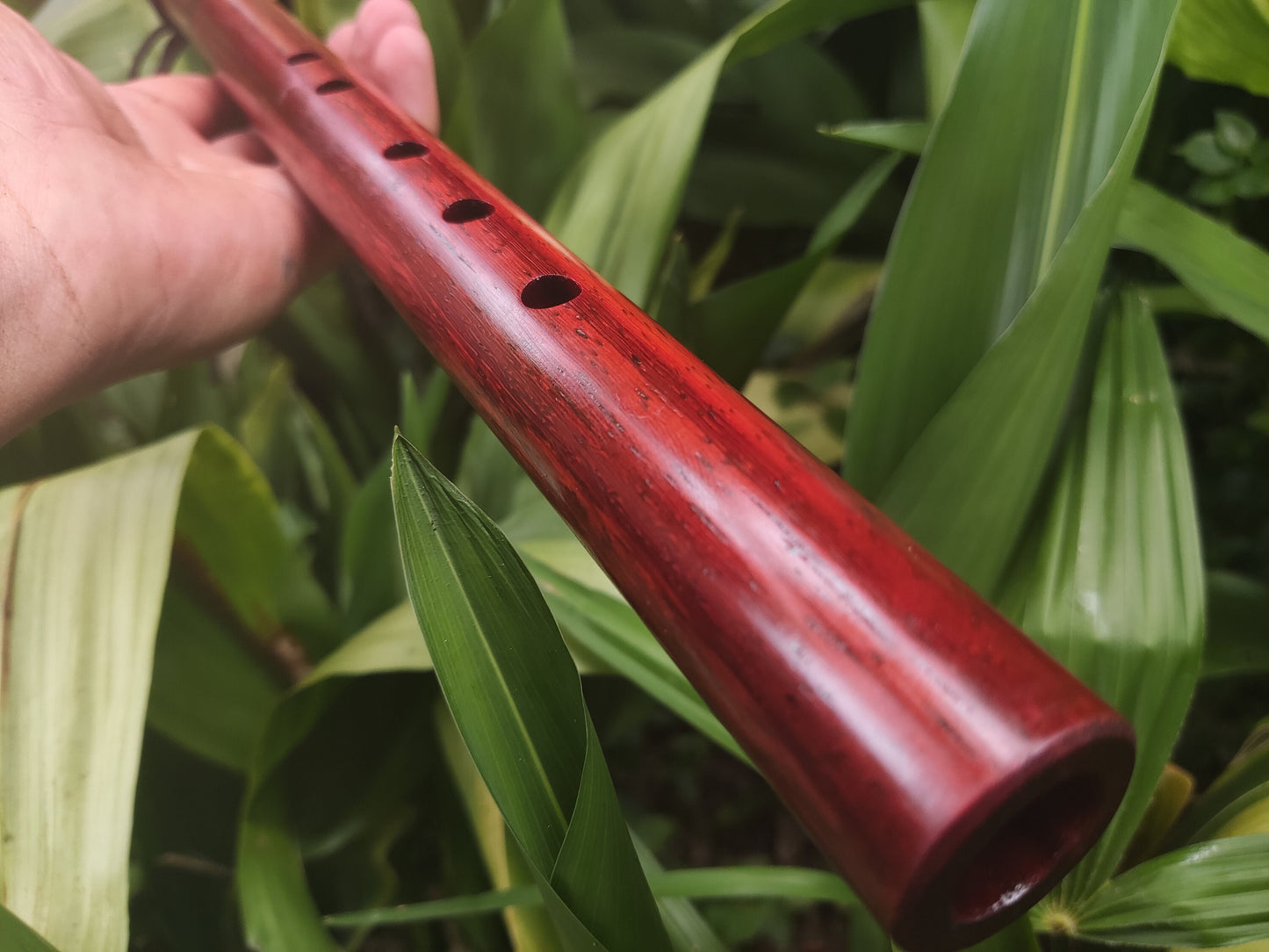 Native American Style flute in A made with Padauk and Rosewood. Handmade Wooden flute suitable for Meditation and Sound Healing