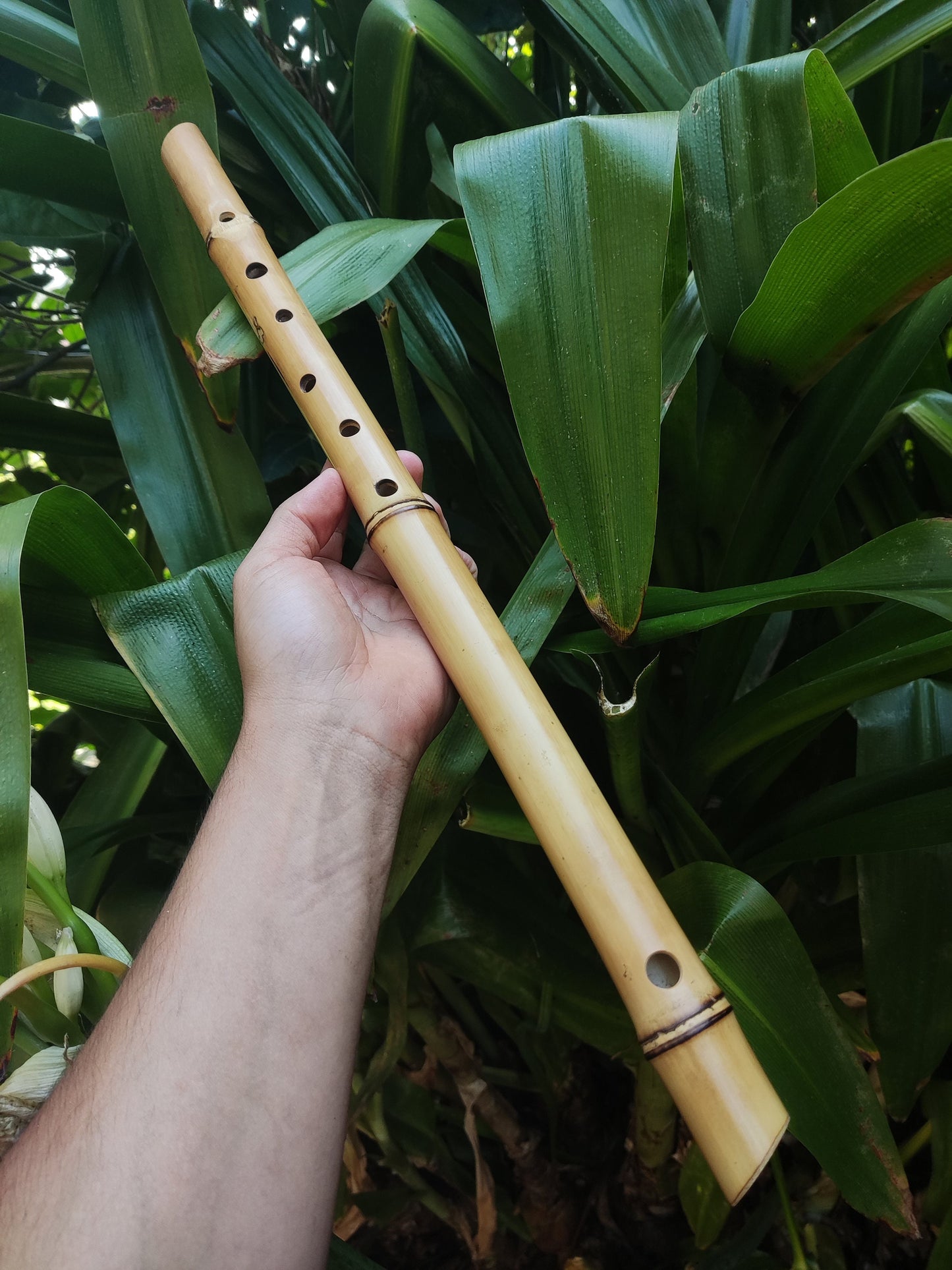 Bamboo Flute in the key of low E, One of a kind Concert Tuned Traverso | Intuitive flute for Folk music | Gift for Musician | Rui Gomes