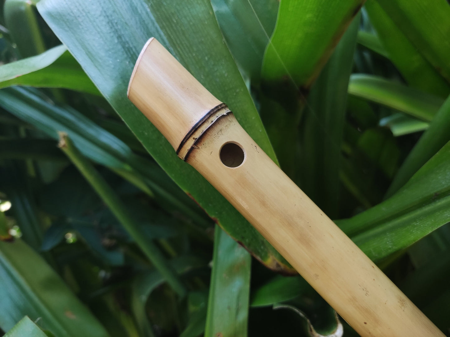 Unique Bamboo Flute in the key of low E, One of a kind Concert Tuned Traverso | For Intuitive or Folk music | Gift for Musician | Rui Gomes