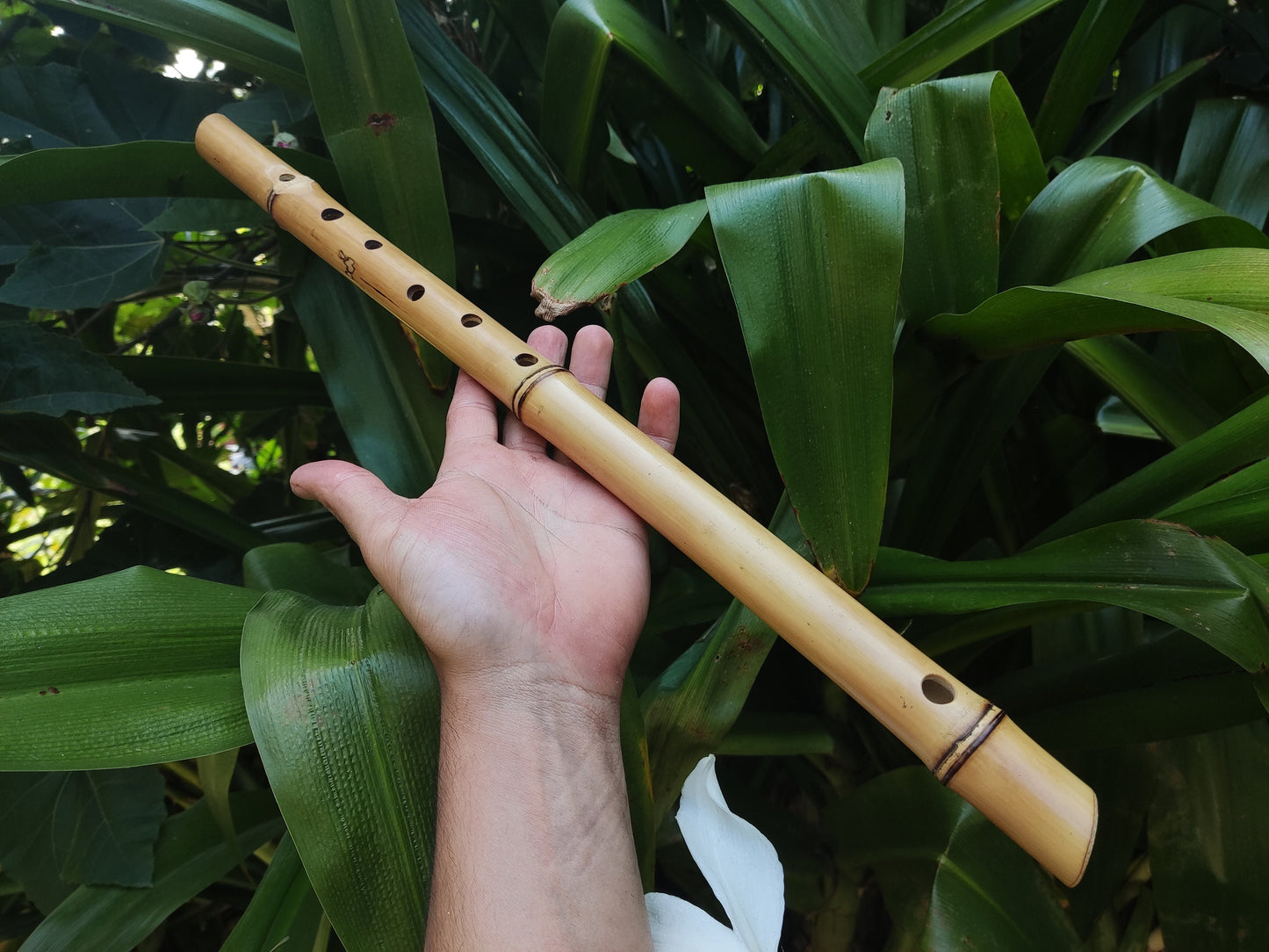 Bamboo Flute in the key of low E, One of a kind Concert Tuned Traverso | Intuitive flute for Folk music | Gift for Musician | Rui Gomes