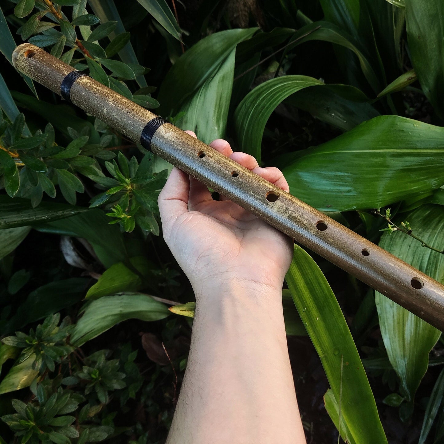 Aeolian Bamboo Flute: Natural Minor scale, Intuitive Transverse Flute, Handmade for Meditation and beginner friendly. Various keys