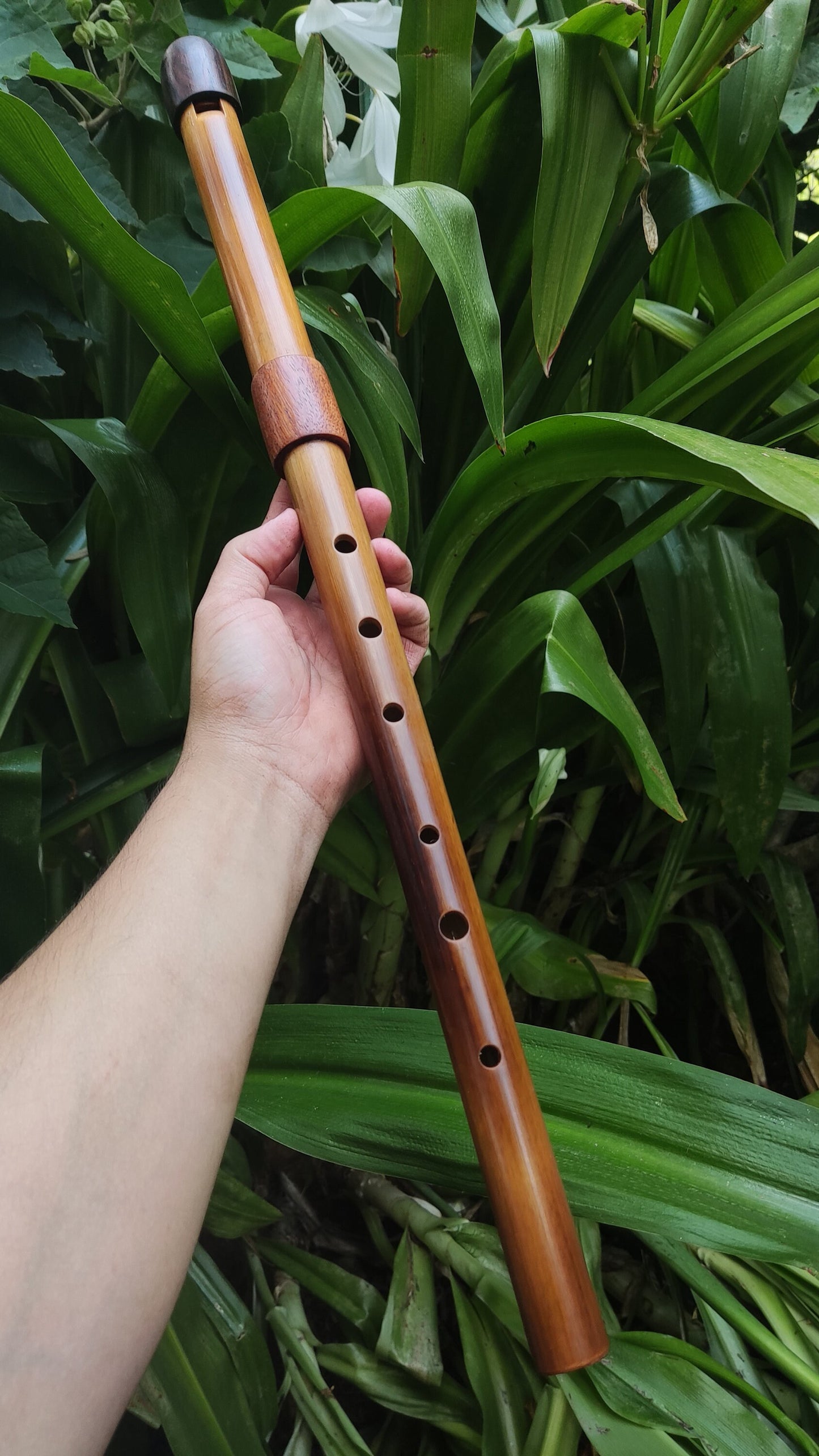 Low D Whistle, handmade out of Bamboo for Irish, Celtic and World Music. Unique wooden flute for folk and meditation, handmade by Rui Gomes