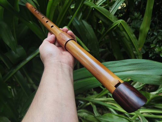 Low D Whistle, handmade out of Bamboo for Irish, Celtic and World Music. Unique wooden flute for folk and meditation, handmade by Rui Gomes