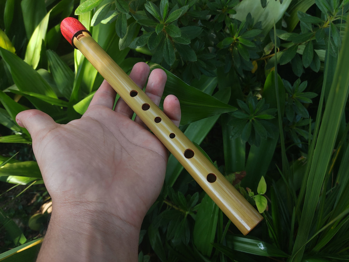 High D Tin Whistle handmade out of Bamboo and Padauk | Concert quality Irish style Soprano Whistle | Flute for Children | Gift for musician