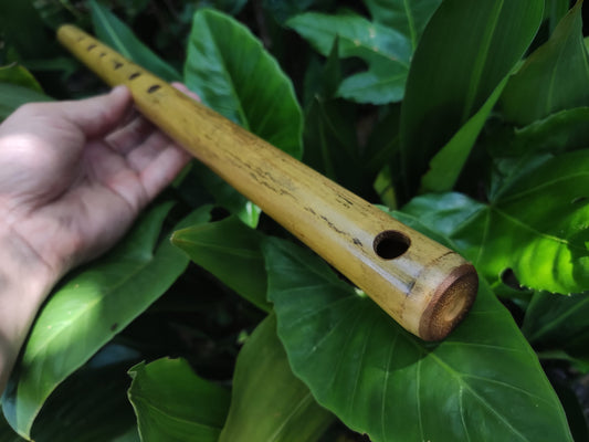 Simple F Major Bamboo Flute. Transverse flute tuned to the key of F major, Concert tuned at A = 440 Hz | Bansuri alternative | Rui Gomes