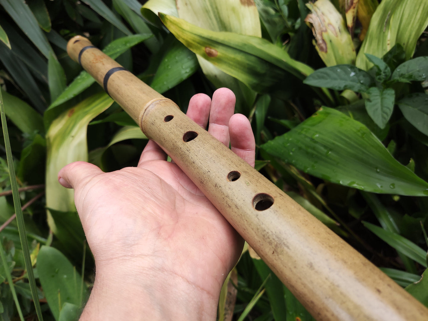 Egyptian Flute in low C, deep meditative bamboo flute with an exotic scale for sound healing and deep meditation