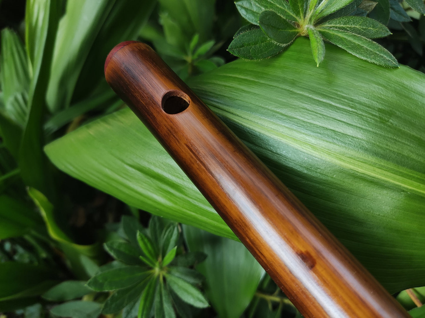 F Major Transverse Flute | Fire treated Handmade Bamboo Flute concert tuned to A440 | Fine instrument with concert quality | Rui Gomes