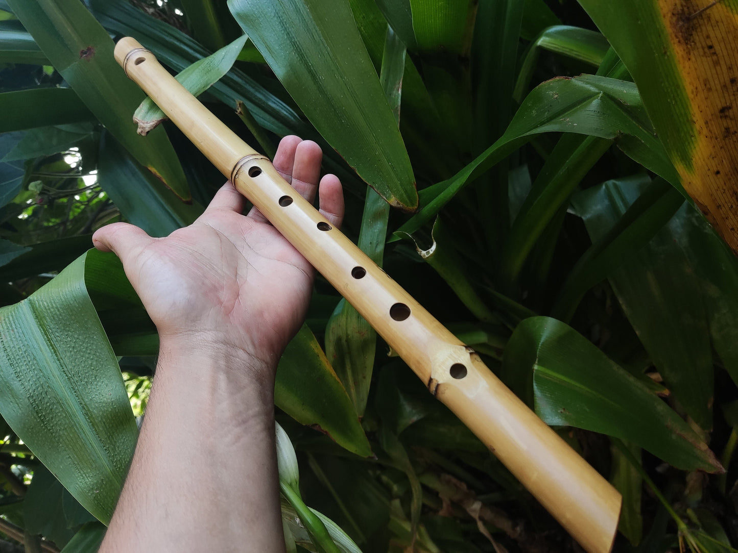 Bamboo Flute in the key of low E, One of a kind Concert Tuned Traverso | Intuitive flute for Folk music | Gift for Musician | Rui Gomes