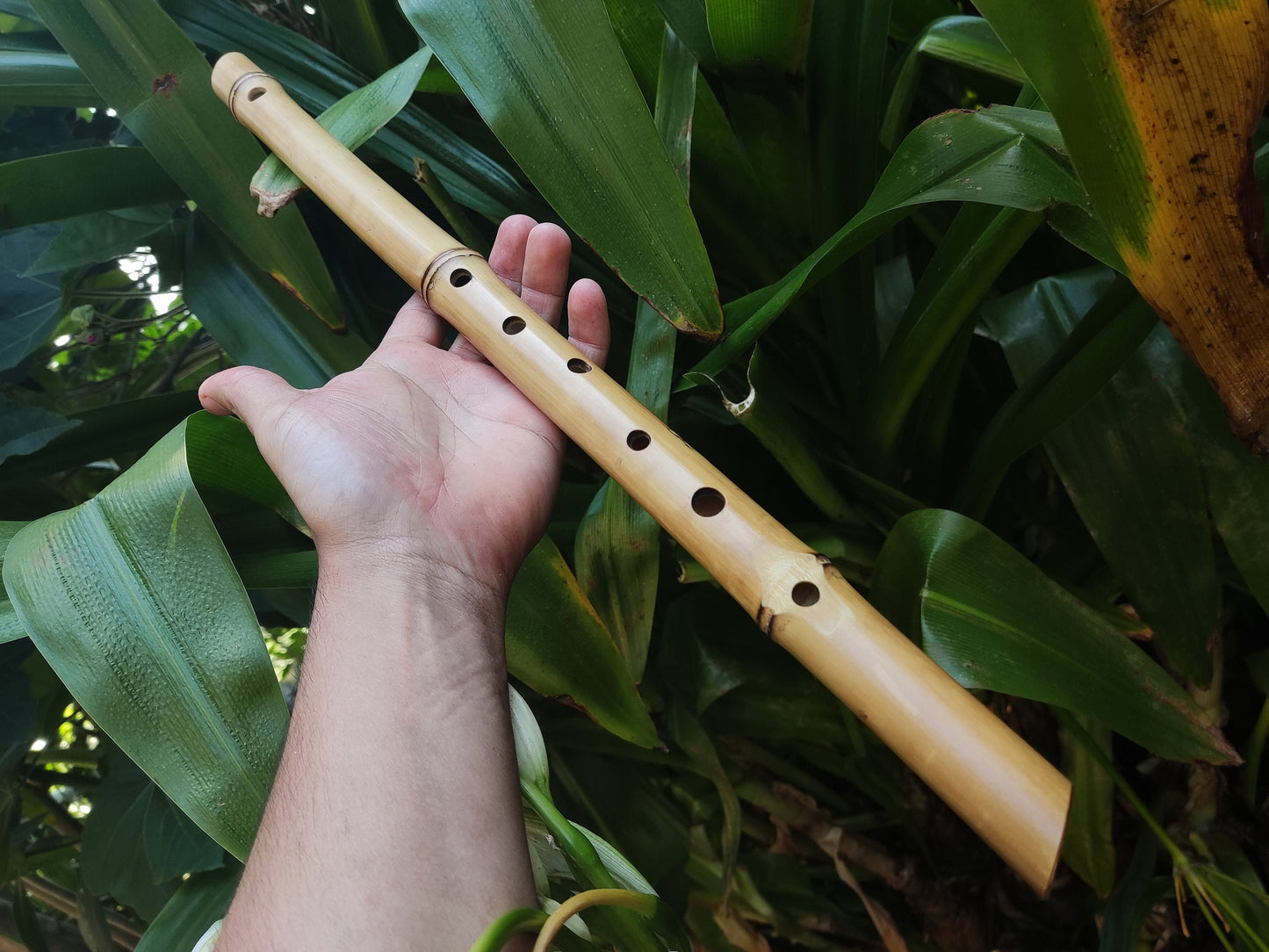 Bamboo Flute in the key of low E, One of a kind Concert Tuned Traverso | Intuitive flute for Folk music | Gift for Musician | Rui Gomes