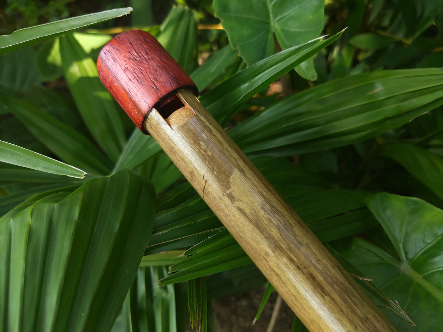 Handmade Bamboo Whistle in B flat, built in the Irish style, with a major scale. Wooden penny whistle, for Irish and Folk Music by Rui Gomes