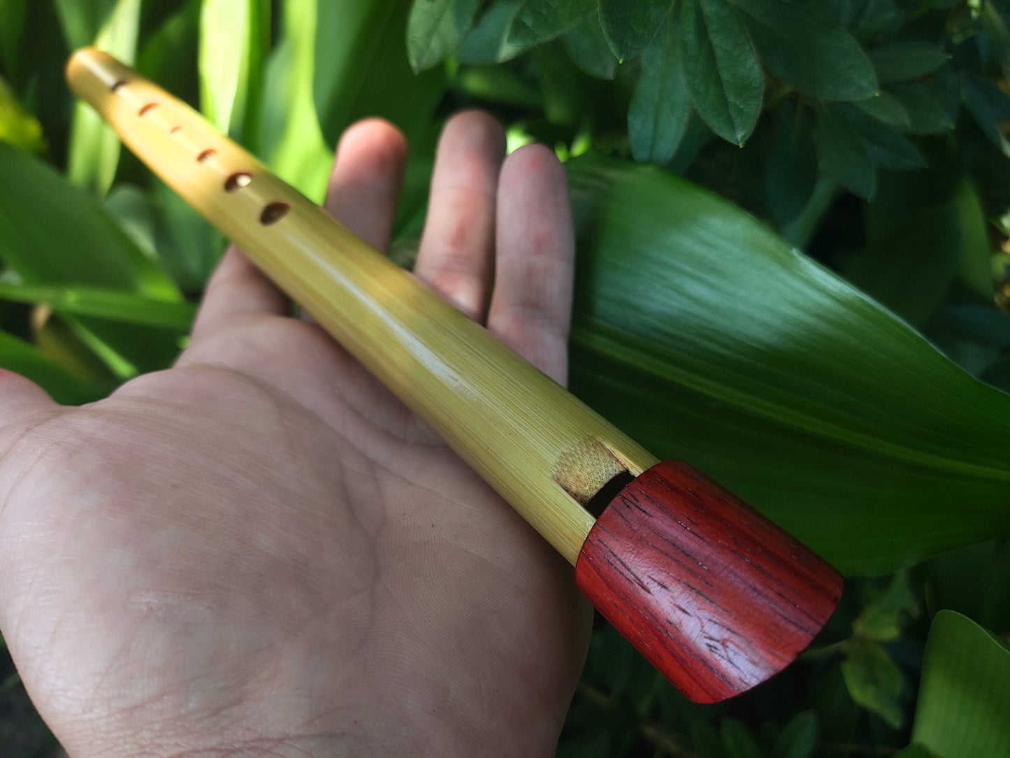High D Tin Whistle handmade out of Bamboo and Padauk | Concert quality Irish style Soprano Whistle | Flute for Children | Gift for musician