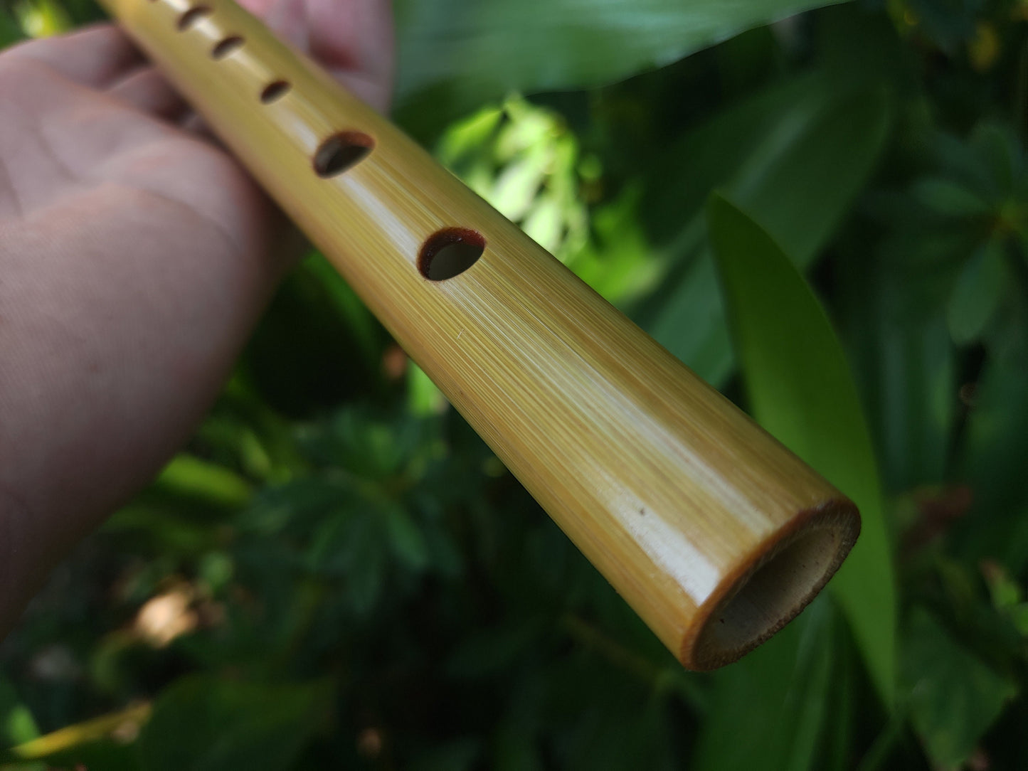 High D Tin Whistle handmade out of Bamboo and Padauk | Concert quality Irish style Soprano Whistle | Flute for Children | Gift for musician
