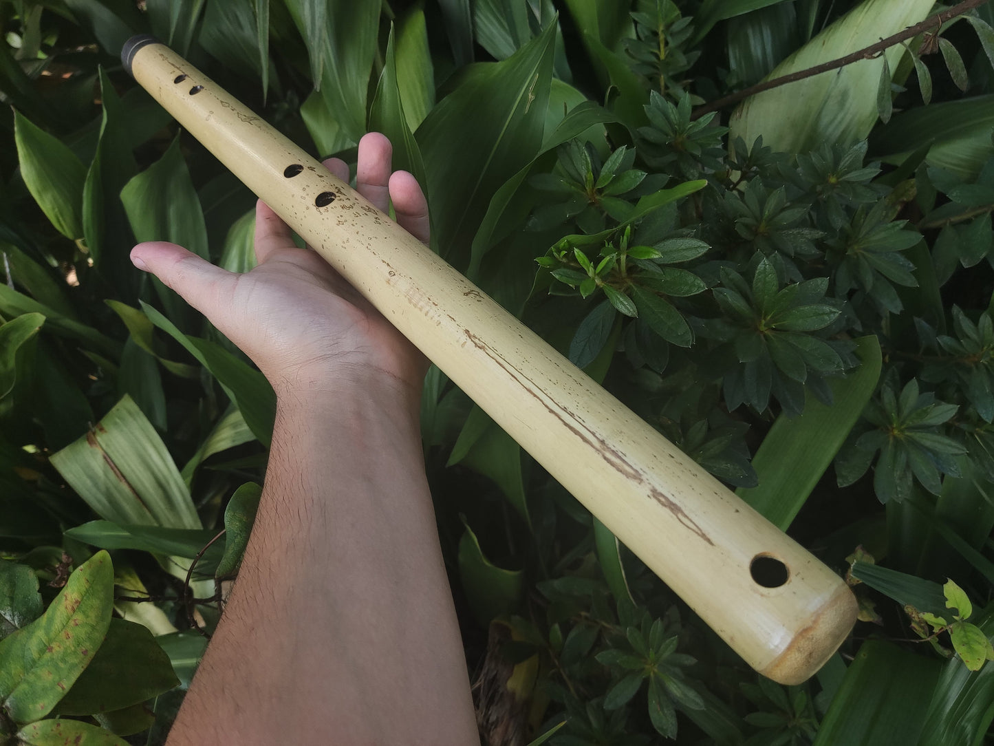 Bamboo Flute for Deep Meditation key of Low B. Intuitive Handmade Flute for Sound Healing with Japanese Scale Akebono | For Beginners