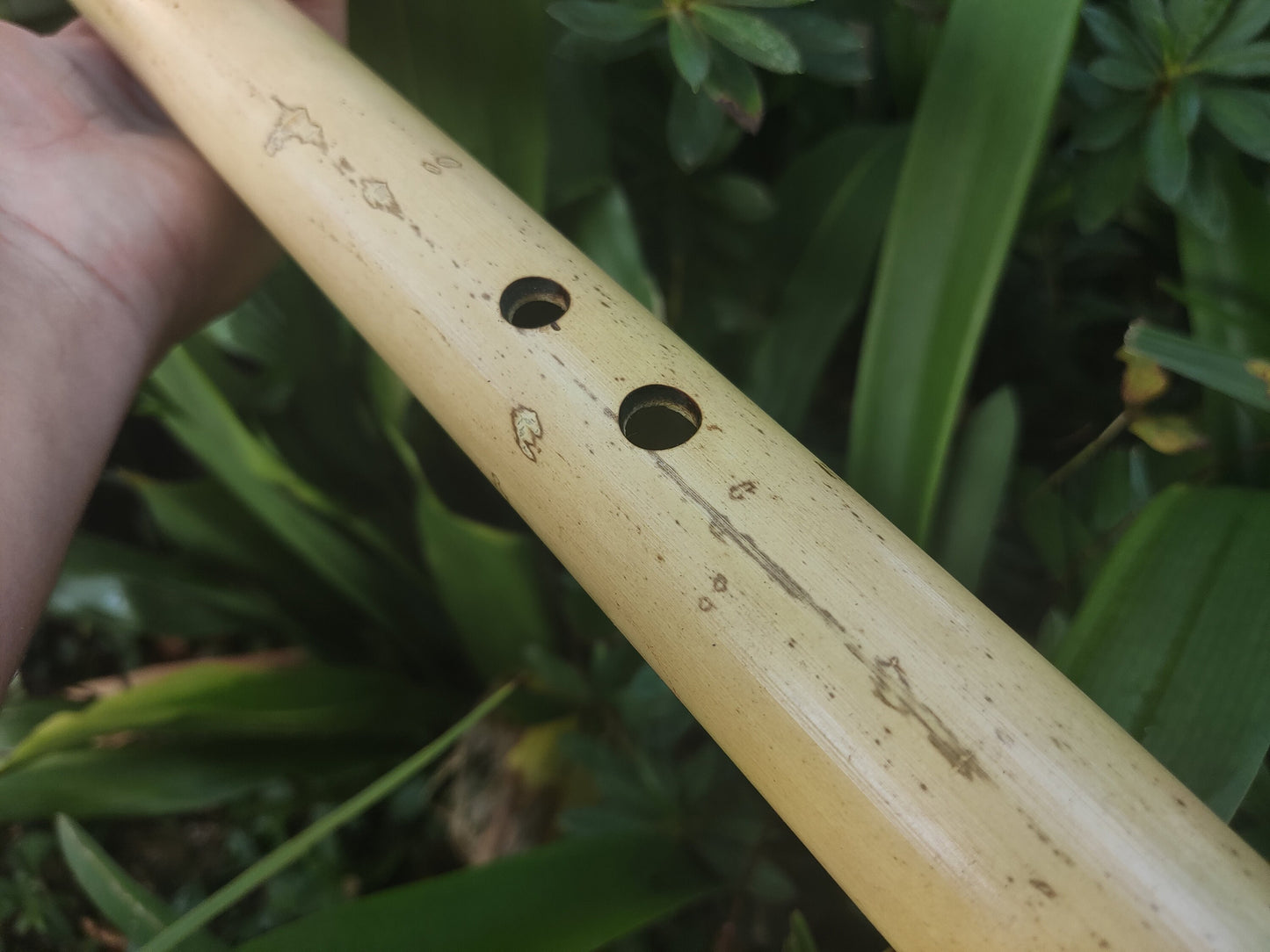 Bamboo Flute for Deep Meditation key of Low B. Intuitive Handmade Flute for Sound Healing with Japanese Scale Akebono | For Beginners