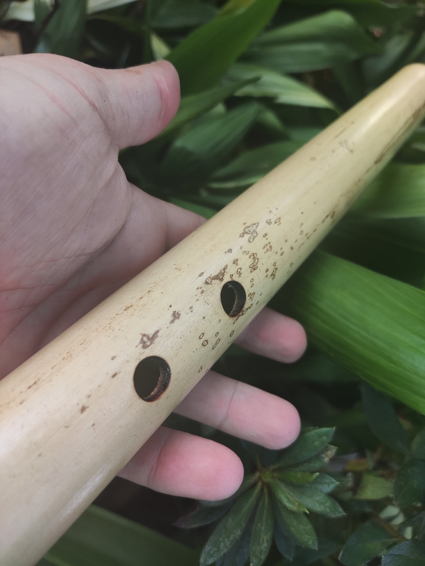 Bamboo Flute for Deep Meditation key of Low B. Intuitive Handmade Flute for Sound Healing with Japanese Scale Akebono | For Beginners