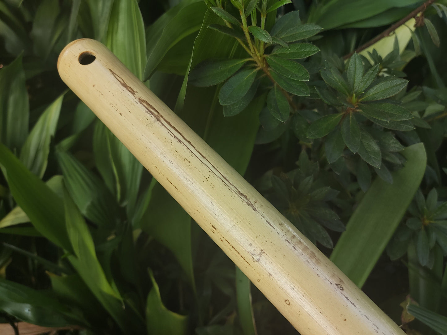 Bamboo Flute for Deep Meditation key of Low B. Intuitive Handmade Flute for Sound Healing with Japanese Scale Akebono | For Beginners