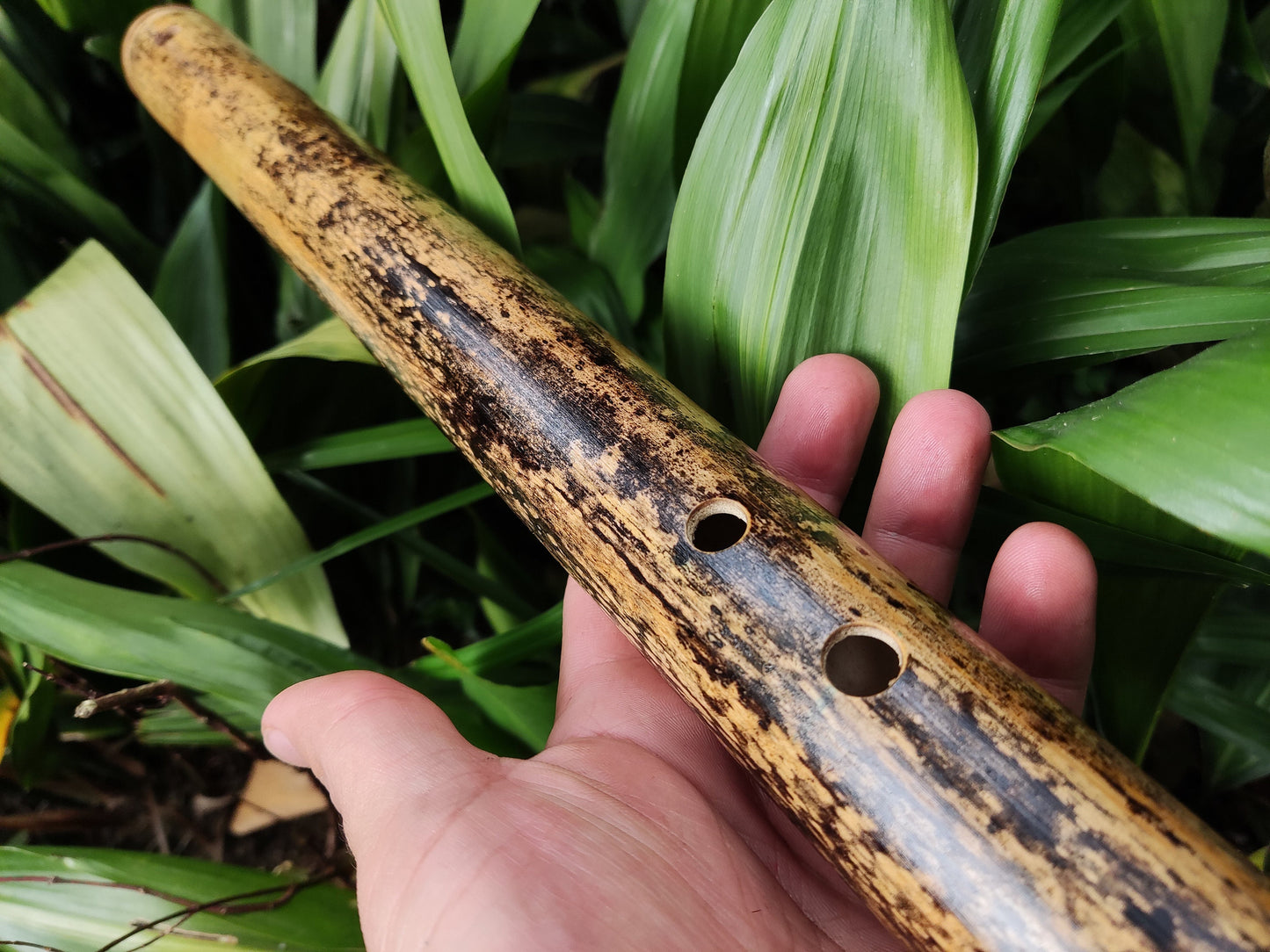 Iwato Japanese Scale in the key of Low A for Deep Meditation and Sound Healing | Oriental Bamboo Flute | Zen Buddhist inspired