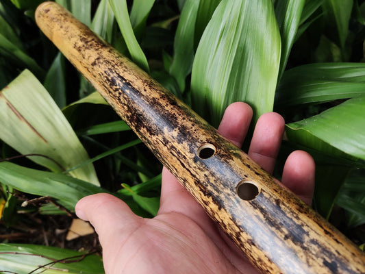 Iwato Japanese Scale in the key of Low A for Deep Meditation and Sound Healing | Oriental Bamboo Flute | Zen Buddhist inspired