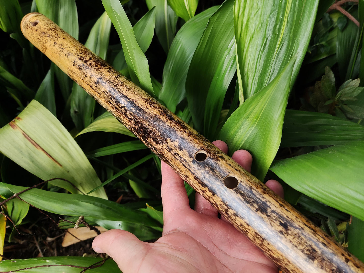 Iwato Japanese Scale in the key of Low A for Deep Meditation and Sound Healing | Oriental Bamboo Flute | Zen Buddhist inspired