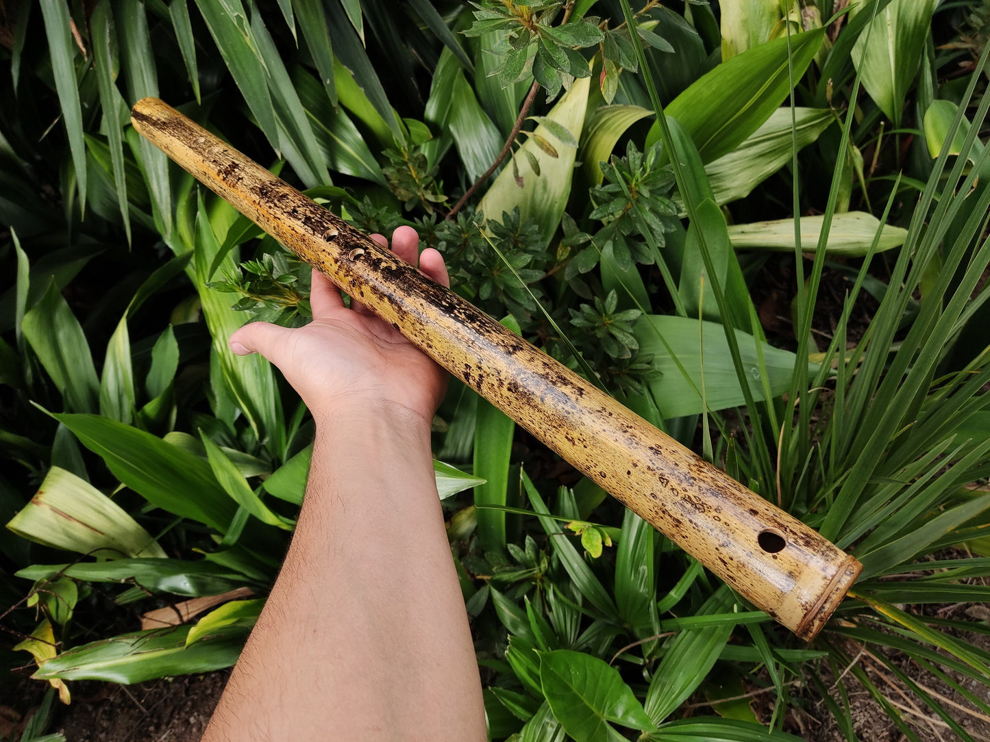 Iwato Japanese Scale in the key of Low A for Deep Meditation and Sound Healing | Oriental Bamboo Flute | Zen Buddhist inspired