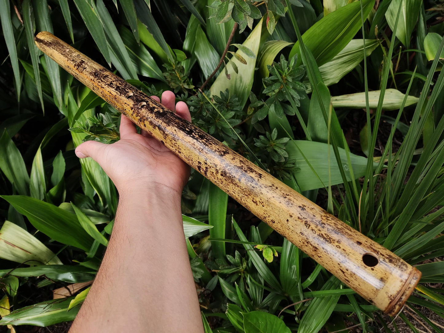 Iwato Japanese Scale in the key of Low A for Deep Meditation and Sound Healing | Oriental Bamboo Flute | Zen Buddhist inspired