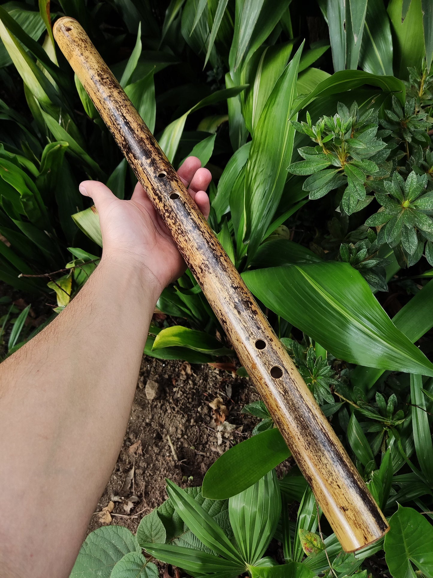 Iwato Japanese Scale in the key of Low A for Deep Meditation and Sound Healing | Oriental Bamboo Flute | Zen Buddhist inspired