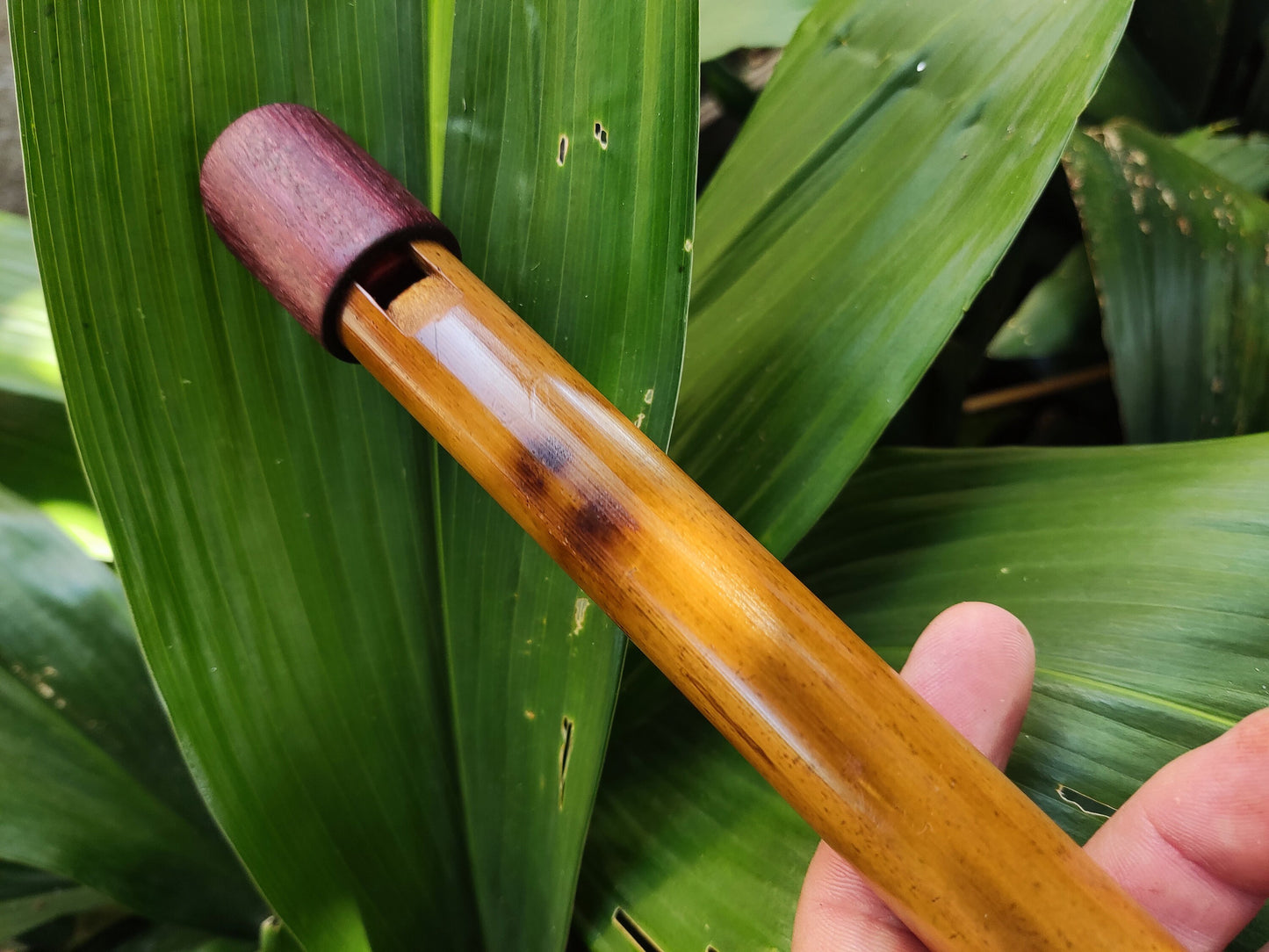 The Arabian Whistle! Handmade Whistle in A# with an Arabian scale.  Bamboo flute with an Intuitive Middle Eastern Scale for Sound Healing